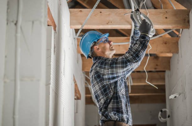Best Electric Panel Repair  in Chapman, KS